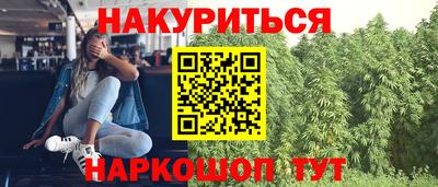гидра Новокубанск