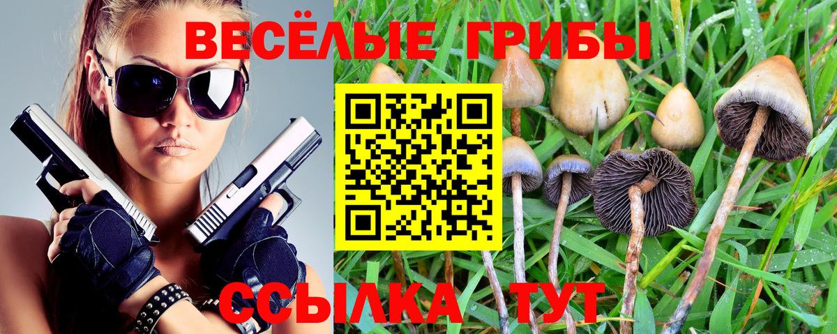 Псилоцибиновые грибы Psilocybe  Вход с VPN  Узловая  Галлюциногенные грибы Cubensis 