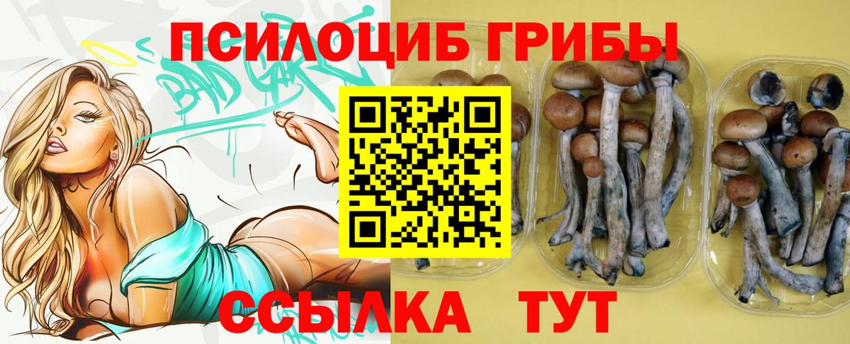 Галлюциногенные грибы MAGIC MUSHROOMS Узловая